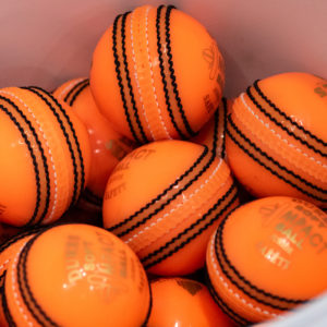cricket training ball